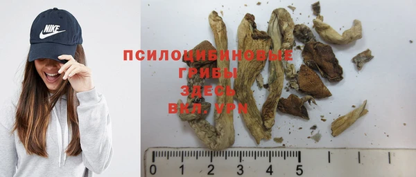 дживик Алексин