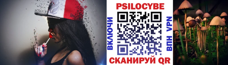 сколько стоит  Воткинск  Псилоцибиновые грибы Cubensis 