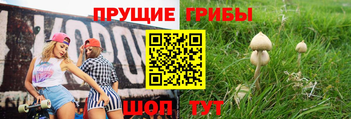 Псилоцибиновые грибы ЛСД  Вход с VPN  хочу наркоту  Псилоцибиновые грибы прущие грибы  Воткинск 